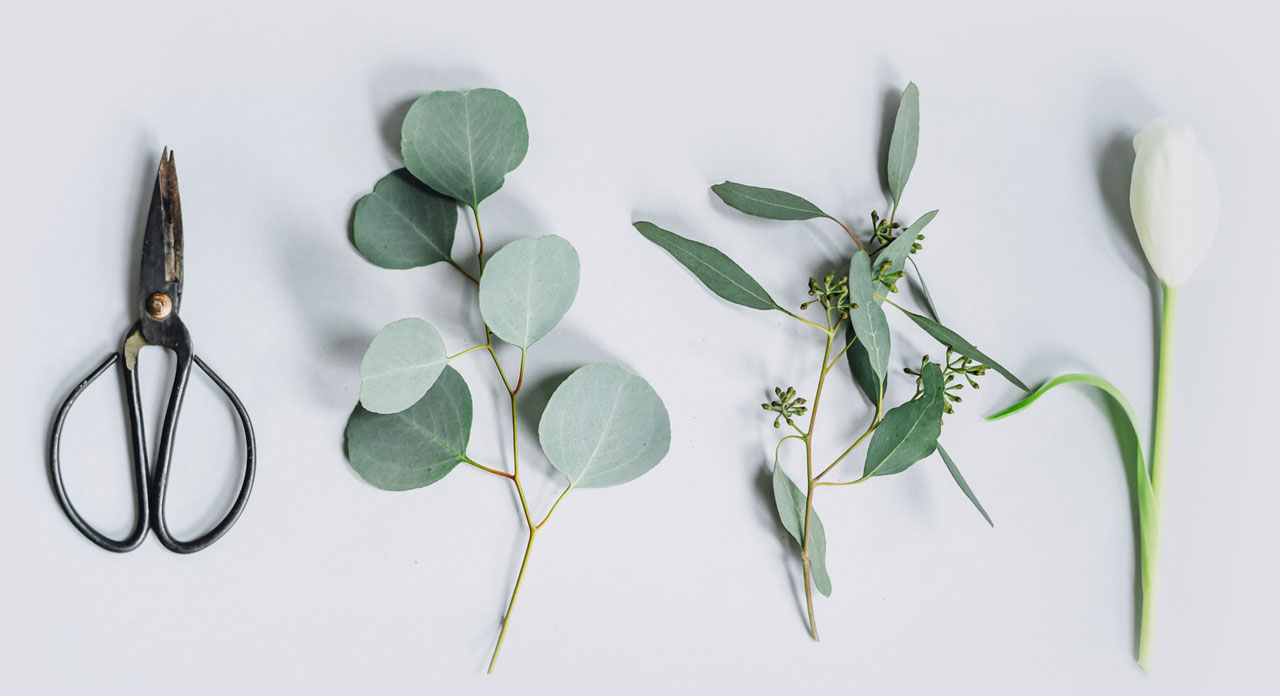 abonnement oogstgenoot